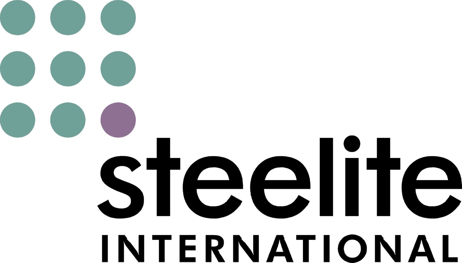 Steelite Logo_Pos HR (2)